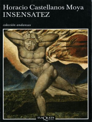 cover image of Insensatez
